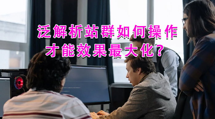 泛解析站群如何操作才能效果最大化？